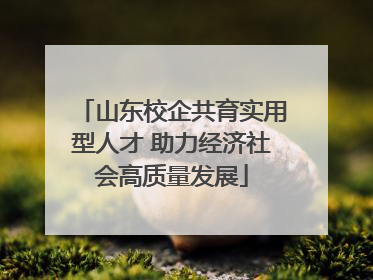山东校企共育实用型人才 助力经济社会高质量发展