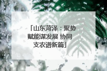 山东菏泽：聚势赋能谋发展 协同支农谱新篇
