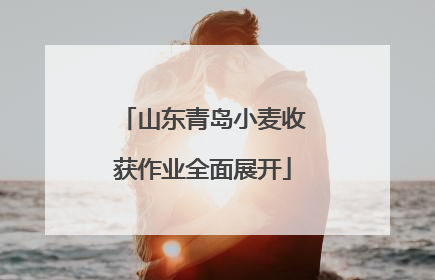 山东青岛小麦收获作业全面展开