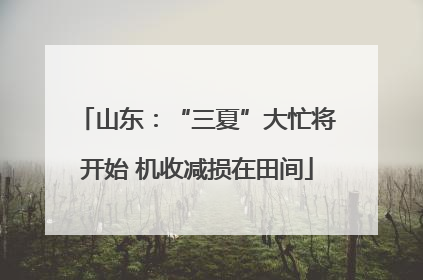 山东：“三夏”大忙将开始 机收减损在田间
