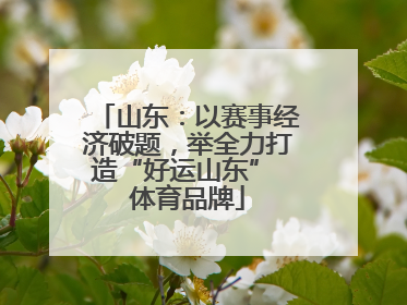 山东:以赛事经济破题,举全力打造“好运山东” 体育品牌