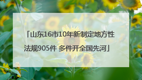 山东16市10年新制定地方性法规905件 多件开全国先河