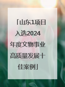 山东1项目入选2024年度文物事业高质量发展十佳案例