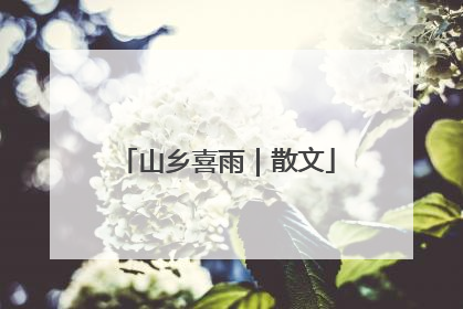 山乡喜雨｜散文