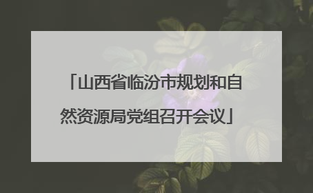 山西省临汾市规划和自然资源局党组召开会议