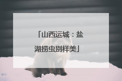 山西运城：盐湖捞虫别样美