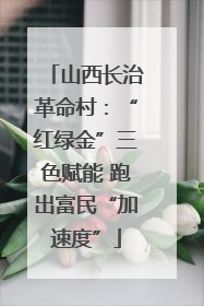 山西长治革命村：“红绿金”三色赋能 跑出富民“加速度”