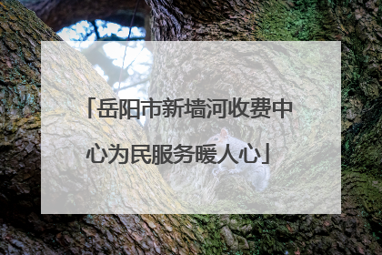 岳阳市新墙河收费中心为民服务暖人心