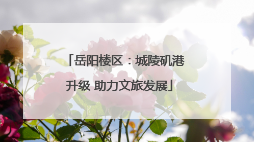 岳阳楼区：城陵矶港升级 助力文旅发展