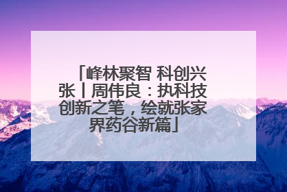 峰林聚智 科创兴张丨周伟良：执科技创新之笔，绘就张家界药谷新篇