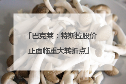 巴克莱：特斯拉股价正面临重大转折点
