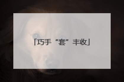 巧手“套”丰收