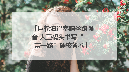 巨轮泊岸奏响丝路强音 太重码头书写“一带一路”硬核答卷