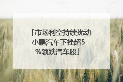 市场利空持续扰动 小鹏汽车下挫超5%领跌汽车股