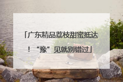 广东精品荔枝甜蜜抵达！“豫”见就别错过