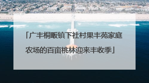 广丰桐畈镇下社村果丰苑家庭农场的百亩桃林迎来丰收季