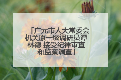 广元市人大常委会机关原一级调研员谭林德 接受纪律审查和监察调查