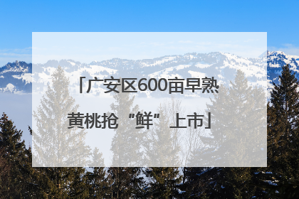 广安区600亩早熟黄桃抢“鲜”上市