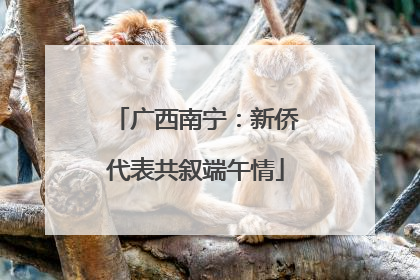 广西南宁：新侨代表共叙端午情