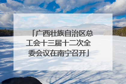 广西壮族自治区总工会十三届十二次全委会议在南宁召开