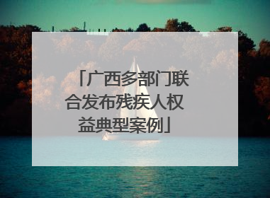 广西多部门联合发布残疾人权益典型案例