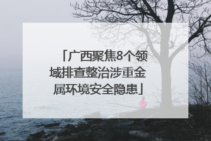 广西聚焦8个领域排查整治涉重金属环境安全隐患