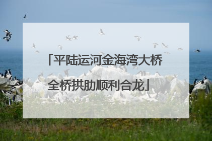 平陆运河金海湾大桥全桥拱肋顺利合龙