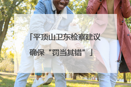 平顶山卫东检察建议确保“罚当其错”
