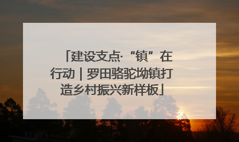建设支点·“镇”在行动｜罗田骆驼坳镇打造乡村振兴新样板