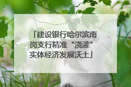 建设银行哈尔滨南岗支行精准“浇灌”实体经济发展沃土