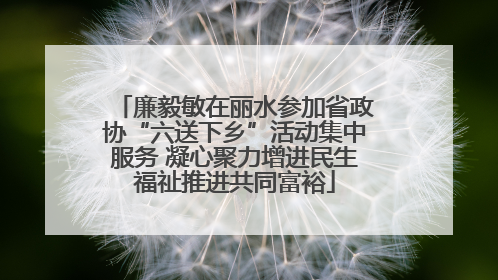 廉毅敏在丽水参加省政协“六送下乡”活动集中服务 凝心聚力增进民生福祉推进共同富裕