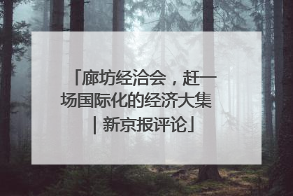 廊坊经洽会，赶一场国际化的经济大集｜新京报评论