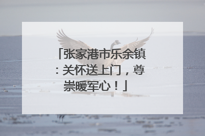 张家港市乐余镇：关怀送上门，尊崇暖军心！
