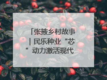 张掖乡村故事｜民乐种业“芯”动力激活现代农业新活力