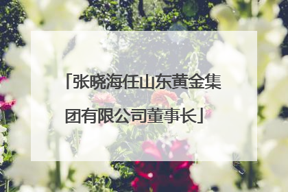 张晓海任山东黄金集团有限公司董事长