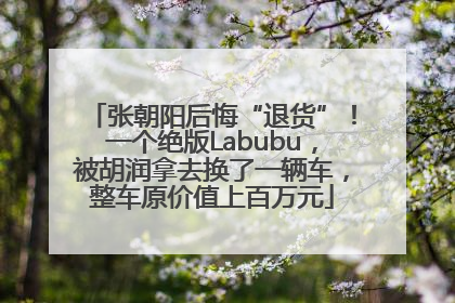 张朝阳后悔“退货”！一个绝版Labubu，被胡润拿去换了一辆车，整车原价值上百万元