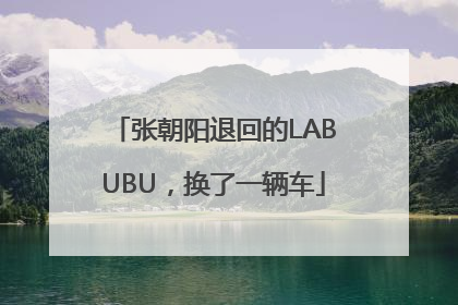 张朝阳退回的LABUBU，换了一辆车