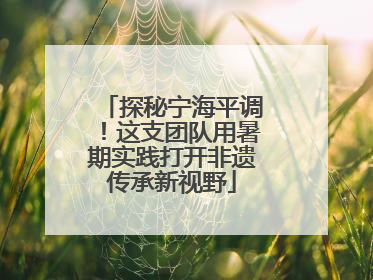 探秘宁海平调！这支团队用暑期实践打开非遗传承新视野