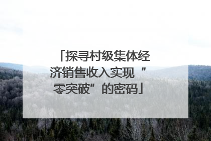 探寻村级集体经济销售收入实现“零突破”的密码