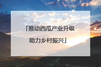 推动西瓜产业升级 助力乡村振兴