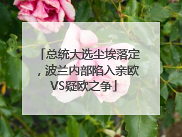 总统大选尘埃落定，波兰内部陷入亲欧VS疑欧之争