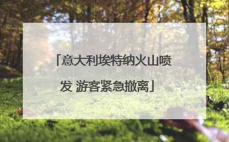意大利埃特纳火山喷发 游客紧急撤离