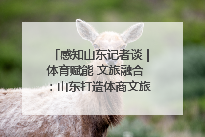 感知山东记者谈｜体育赋能 文旅融合：山东打造体商文旅融合发展新格局
