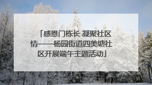 感恩门栋长 凝聚社区情——杨园街道四美塘社区开展端午主题活动