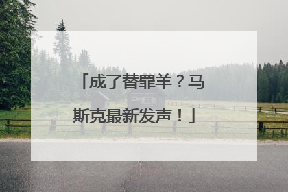 成了替罪羊？马斯克最新发声！