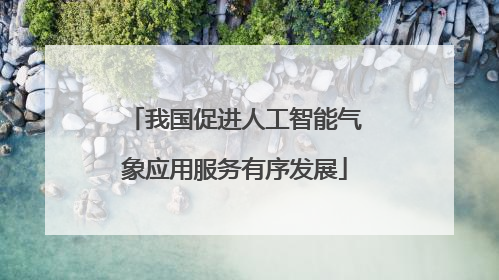 我国促进人工智能气象应用服务有序发展