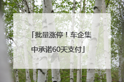 批量涨停！车企集中承诺60天支付