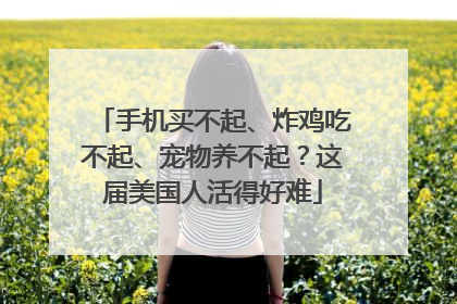 手机买不起、炸鸡吃不起、宠物养不起？这届美国人活得好难