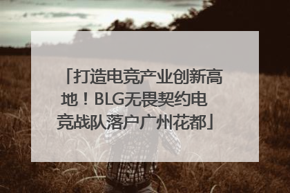 打造电竞产业创新高地！BLG无畏契约电竞战队落户广州花都