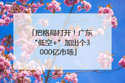把格局打开！广东“低空+”加出个3000亿市场